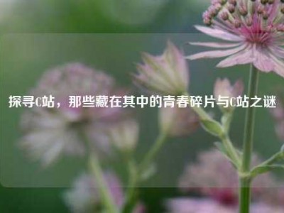 探寻C站，那些藏在其中的青春碎片与C站之谜