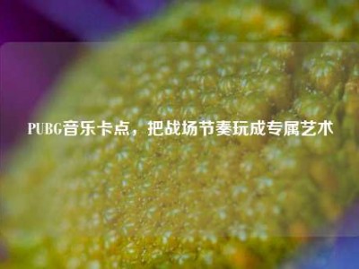 PUBG音乐卡点，把战场节奏玩成专属艺术