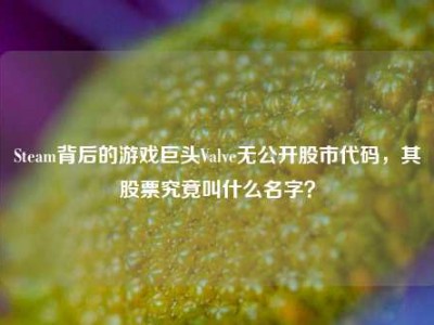 Steam背后的游戏巨头Valve无公开股市代码，其股票究竟叫什么名字？