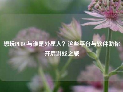 想玩PUBG与谁是外星人？这些平台与软件助你开启游戏之旅