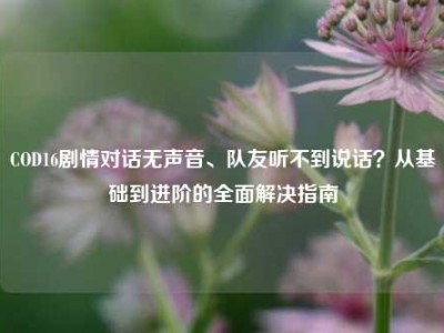 COD16剧情对话无声音、队友听不到说话？从基础到进阶的全面解决指南