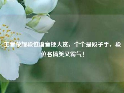 王者荣耀段位谐音梗大赏，个个是段子手，段位名搞笑又霸气！