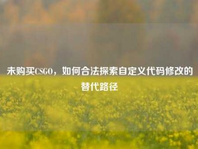 未购买CSGO，如何合法探索自定义代码修改的替代路径