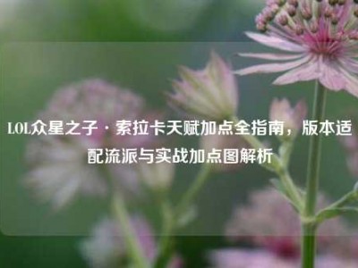 LOL众星之子·索拉卡天赋加点全指南，版本适配流派与实战加点图解析