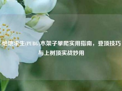 绝地求生(PUBG)木架子攀爬实用指南，登顶技巧与上树顶实战妙用