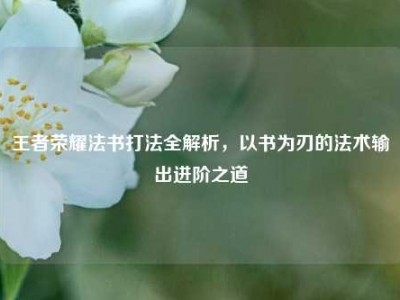 王者荣耀法书打法全解析，以书为刃的法术输出进阶之道