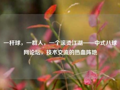 一杆球，一群人，一个滚烫江湖——中式八球网论坛，技术交流的热血阵地