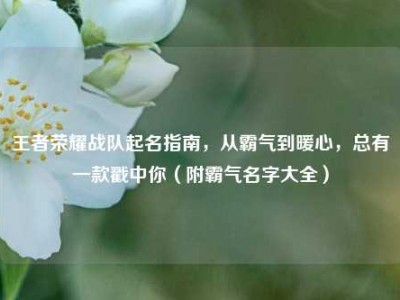 王者荣耀战队起名指南，从霸气到暖心，总有一款戳中你（附霸气名字大全）