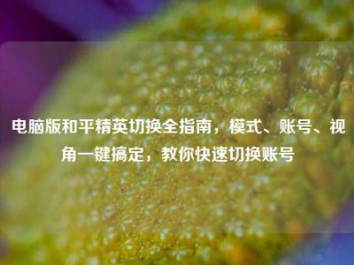 电脑版和平精英切换全指南，模式、账号、视角一键搞定，教你快速切换账号