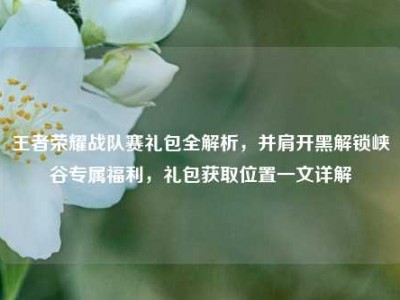 王者荣耀战队赛礼包全解析，并肩开黑解锁峡谷专属福利，礼包获取位置一文详解