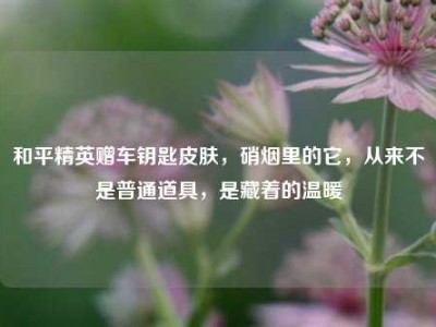 和平精英赠车钥匙皮肤，硝烟里的它，从来不是普通道具，是藏着的温暖