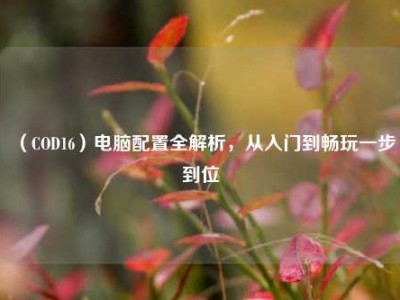 （COD16）电脑配置全解析，从入门到畅玩一步到位