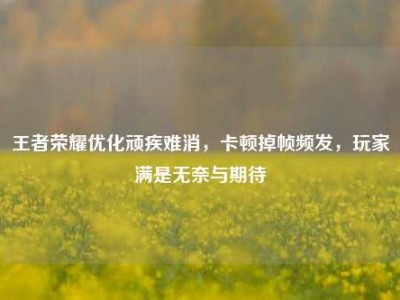 王者荣耀优化顽疾难消，卡顿掉帧频发，玩家满是无奈与期待