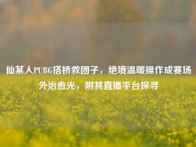 仙某人PUBG搭桥救团子，绝境温暖操作成赛场外治愈光，附其直播平台探寻