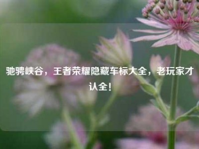 驰骋峡谷，王者荣耀隐藏车标大全，老玩家才认全！