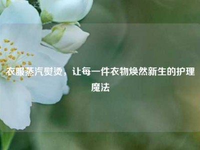 衣服蒸汽熨烫，让每一件衣物焕然新生的护理魔法