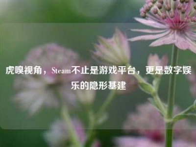 虎嗅视角，Steam不止是游戏平台，更是数字娱乐的隐形基建