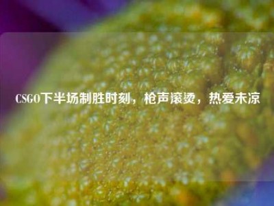 CSGO下半场制胜时刻，枪声滚烫，热爱未凉