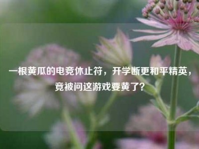 一根黄瓜的电竞休止符，开学断更和平精英，竟被问这游戏要黄了？