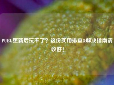 PUBG更新后玩不了？这份实用排查&解决指南请收好！
