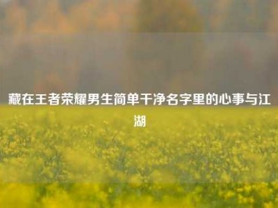 藏在王者荣耀男生简单干净名字里的心事与江湖
