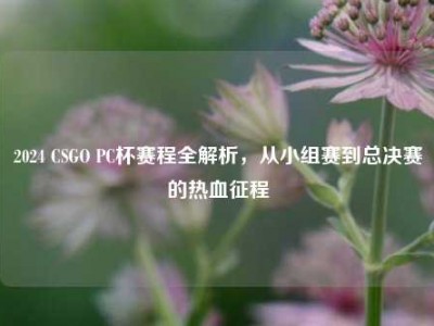 2024 CSGO PC杯赛程全解析，从小组赛到总决赛的热血征程