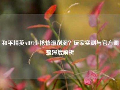 和平精英ARM步枪惨遭削弱？玩家实测与官方调整深度解析