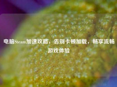 电脑Steam加速攻略，告别卡顿加载，畅享流畅游戏体验