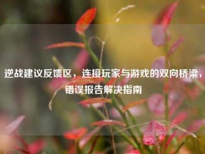 逆战建议反馈区，连接玩家与游戏的双向桥梁，错误报告解决指南