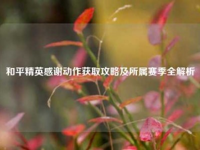 和平精英感谢动作获取攻略及所属赛季全解析