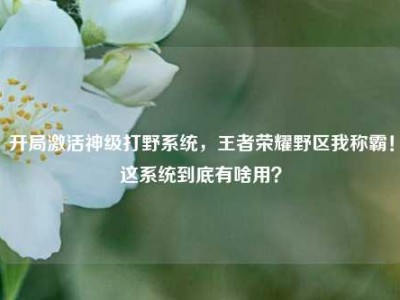 开局激活神级打野系统，王者荣耀野区我称霸！这系统到底有啥用？