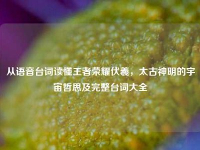 从语音台词读懂王者荣耀伏羲，太古神明的宇宙哲思及完整台词大全