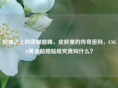 枪身之上的荣耀图腾，皮肤里的传奇密码，CSGO黄金骷髅贴纸究竟叫什么？