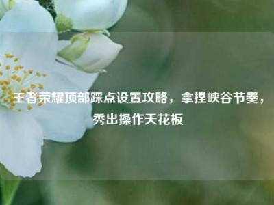 王者荣耀顶部踩点设置攻略，拿捏峡谷节奏，秀出操作天花板
