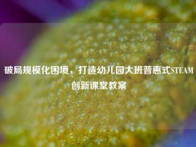 破局规模化困境，打造幼儿园大班普惠式STEAM创新课堂教案
