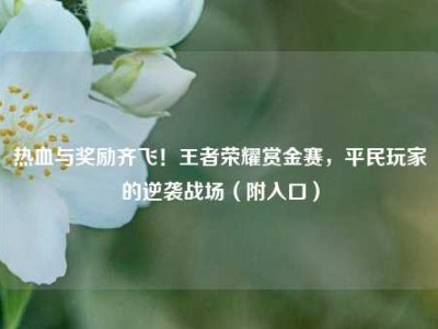 热血与奖励齐飞！王者荣耀赏金赛，平民玩家的逆袭战场（附入口）