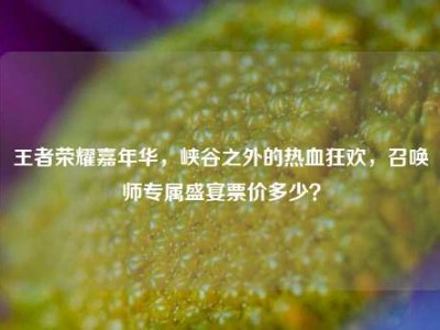 王者荣耀嘉年华，峡谷之外的热血狂欢，召唤师专属盛宴票价多少？