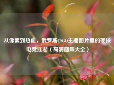 从像素到热血，俄罗斯CSGO主播图片里的硬核电竞江湖（高清图集大全）