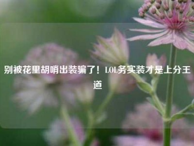 别被花里胡哨出装骗了！LOL务实装才是上分王道