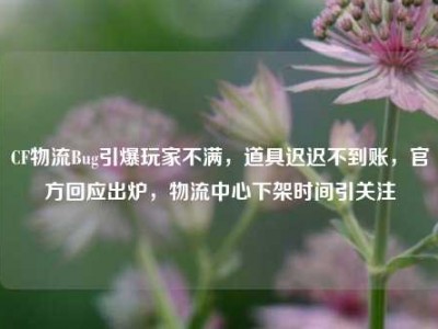 CF物流Bug引爆玩家不满，道具迟迟不到账，官方回应出炉，物流中心下架时间引关注