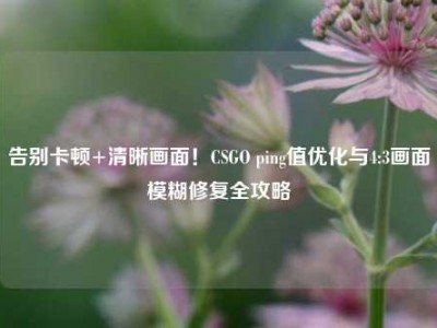 告别卡顿+清晰画面！CSGO ping值优化与4:3画面模糊修复全攻略