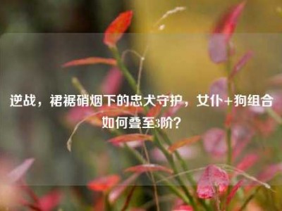 逆战，裙裾硝烟下的忠犬守护，女仆+狗组合如何叠至3阶？