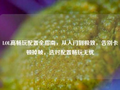 LOL高畅玩配置全指南，从入门到极致，告别卡顿掉帧，选对配置畅玩无忧