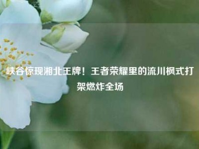 峡谷惊现湘北王牌！王者荣耀里的流川枫式打架燃炸全场