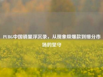 PUBG中国销量浮沉录，从现象级爆款到细分市场的坚守