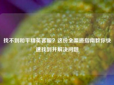 找不到和平精英客服？这份全渠道指南教你快速找到并解决问题