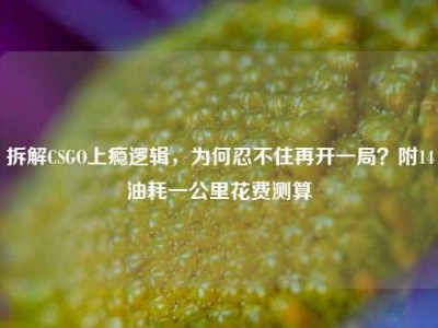 拆解CSGO上瘾逻辑，为何忍不住再开一局？附14油耗一公里花费测算