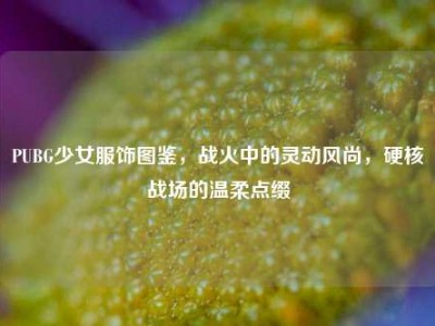 PUBG少女服饰图鉴，战火中的灵动风尚，硬核战场的温柔点缀