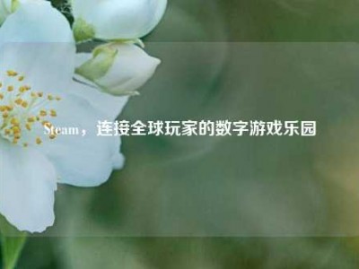 Steam，连接全球玩家的数字游戏乐园