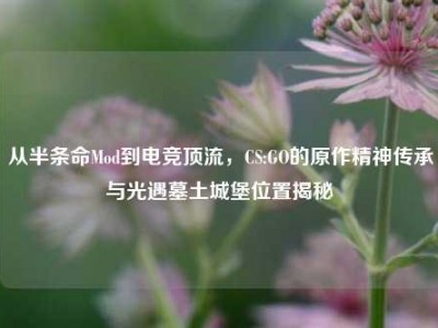 从半条命Mod到电竞顶流，CS:GO的原作精神传承与光遇墓土城堡位置揭秘